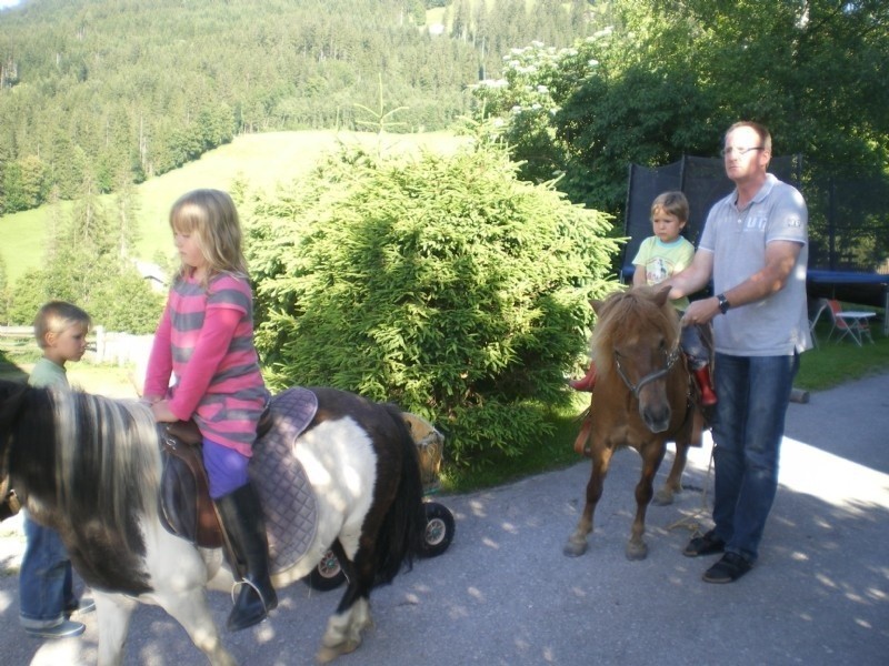 Tiere Bauernhof