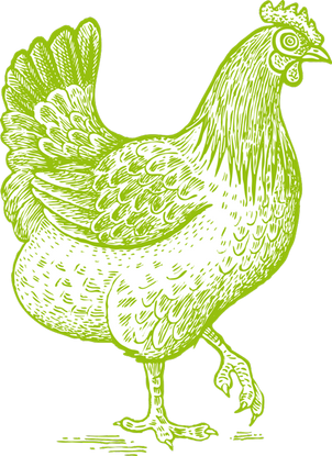Huhn Bauernhof