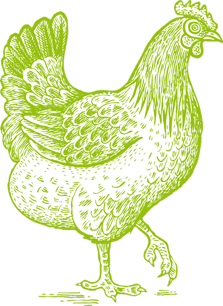 Huhn Bauernhof