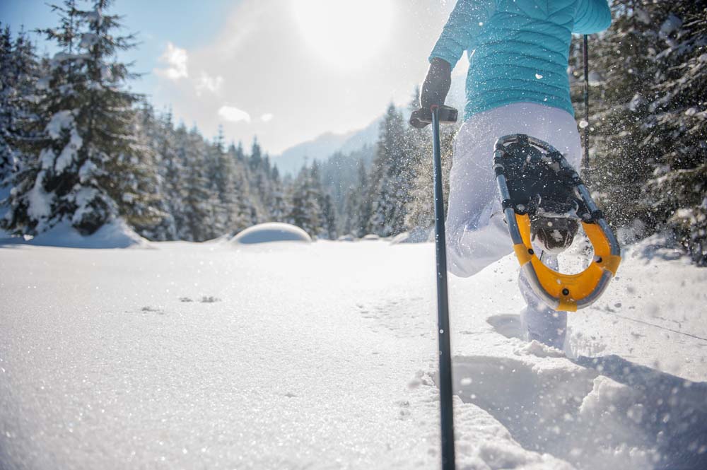 Skiurlaub Ferienwohnung